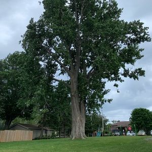 Meet your Posher, Mariam